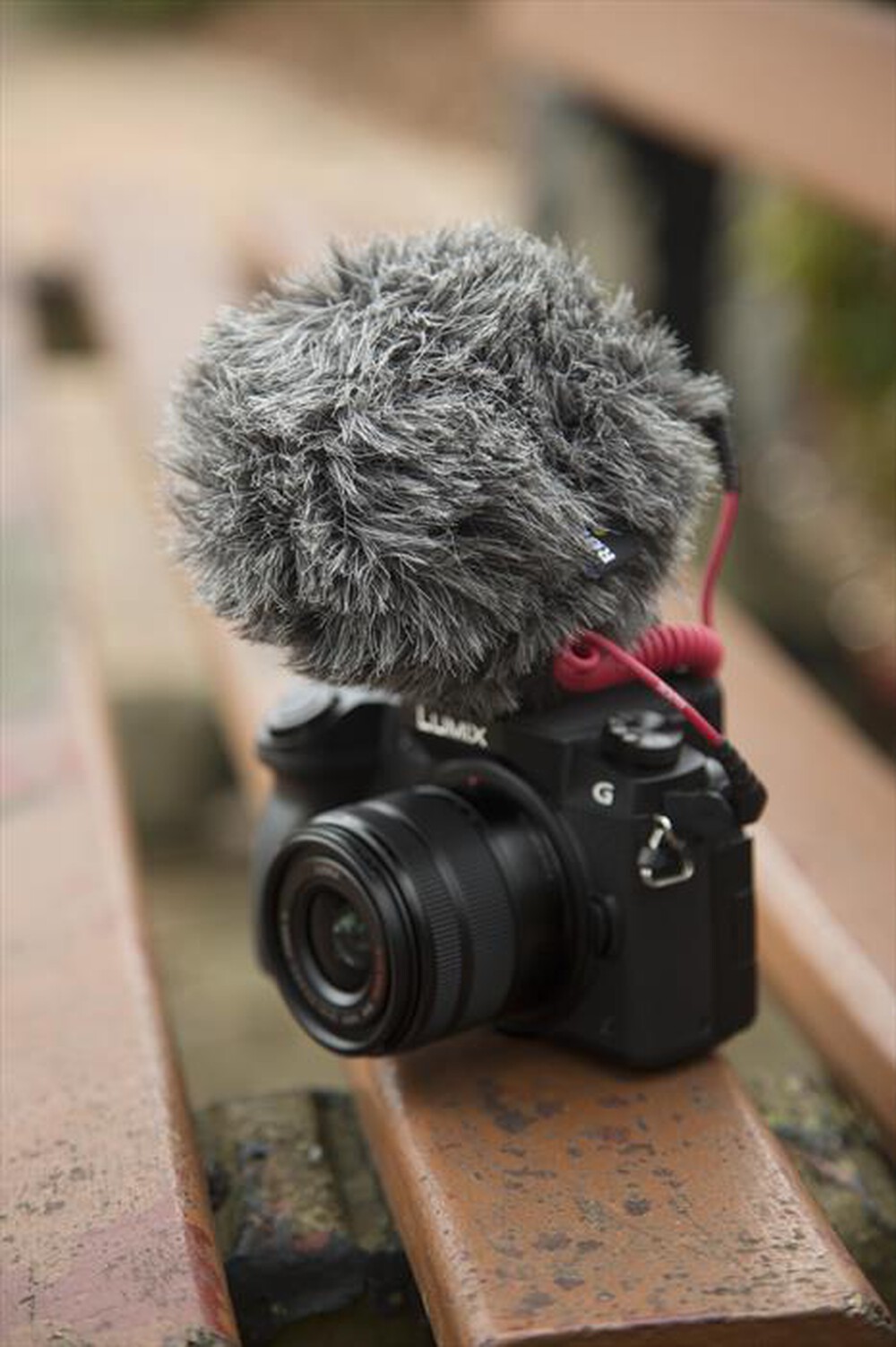 "RODE - Microfono VideoMicro-Black"