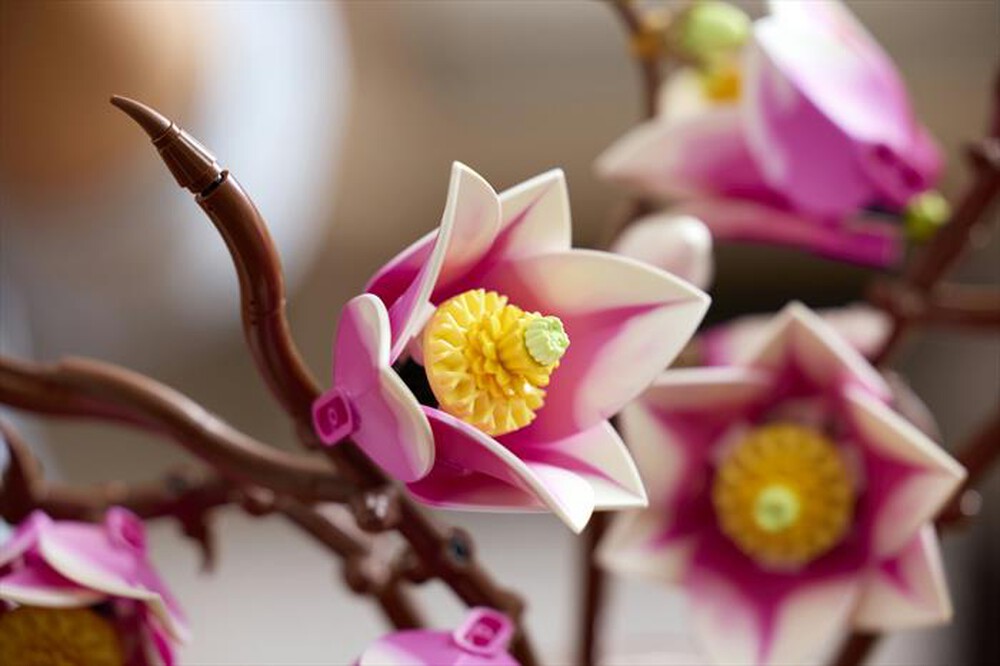 Immagine del prodotto LEGO - BOTANICALS Rametti di magnolia - 11510