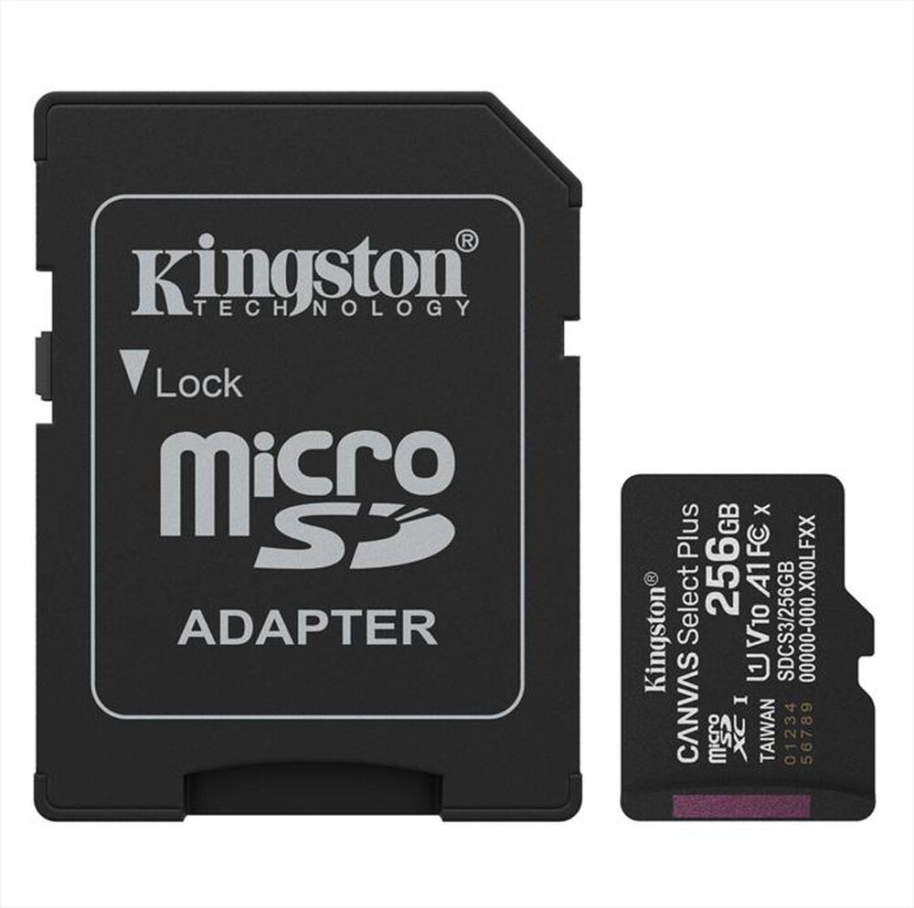 Immagine del prodotto KINGSTON - Scheda di memoria SDCS3/256GB-Nero