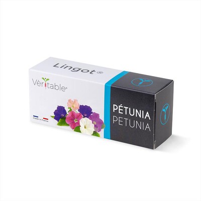 VERITABLE - Lingots - Petunia