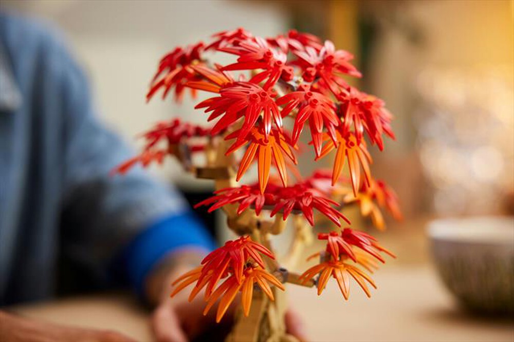 "LEGO - BOTANICALS Bonsai di acero rosso giapponese-10348"