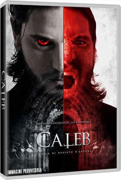 CECCHI GORI - Caleb