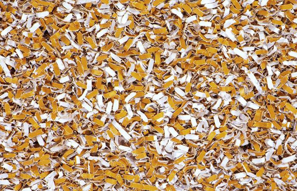 Immagine del prodotto HAMA - Distruggi Documenti PRIME M50CD-B-Nero