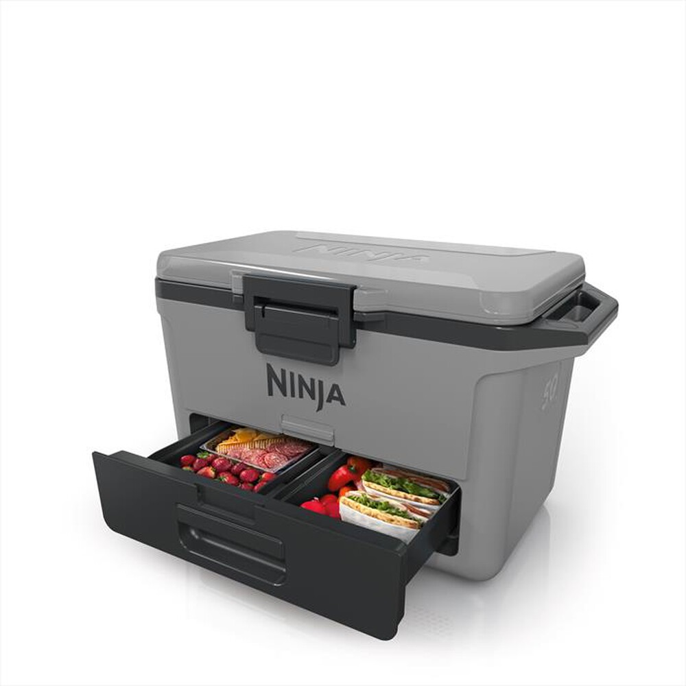 "NINJA - FRIGO PORTATILE FROSTVAULT 47LT-Grigio"