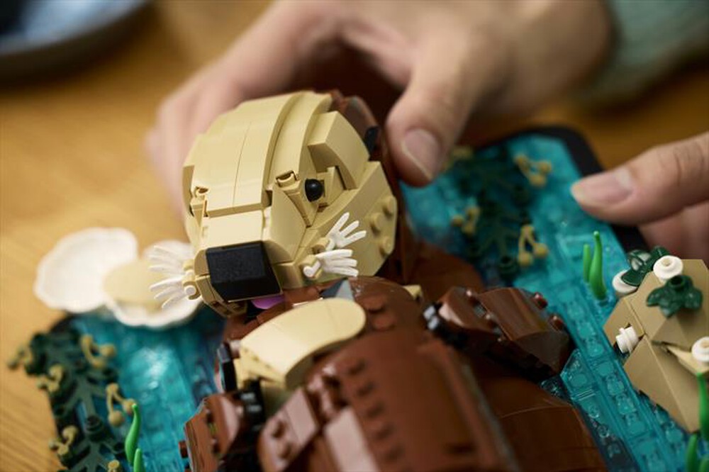 Immagine del prodotto LEGO - IDEAS Lontre marine - 21366