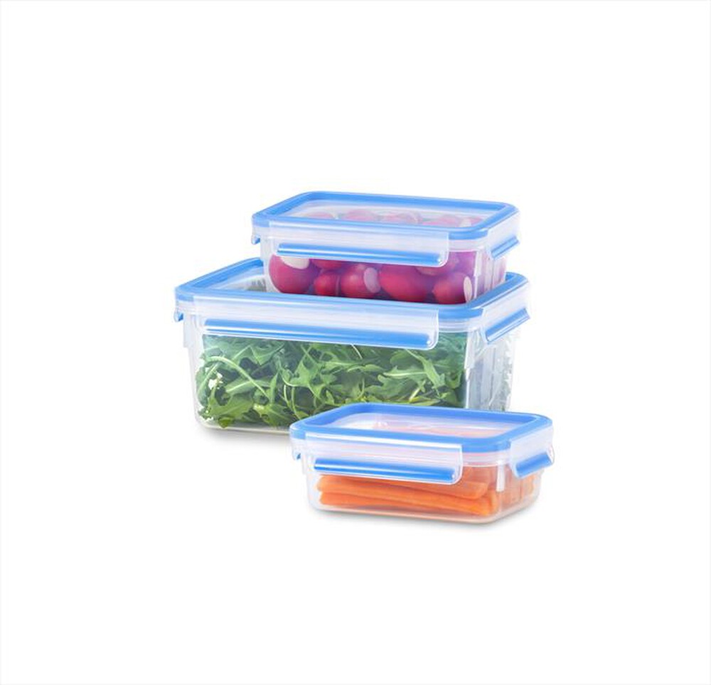 "EMSA - Contenitori salvafreschezza 3pz 508566-Blu"