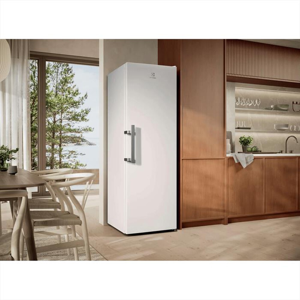 Immagine del prodotto ELECTROLUX - Frigorifero 1 porta LRS3DE39W Classe E 395 lt-Bianco