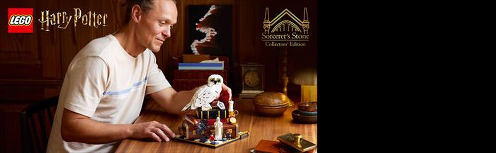 Immagine del prodotto LEGO - HARRY POTTER Pietra filosofale - 76466-Multicolore