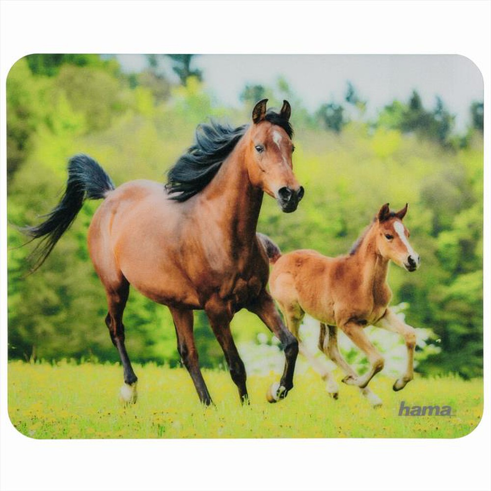 Immagine del prodotto HAMA - ANIMALI-VARI