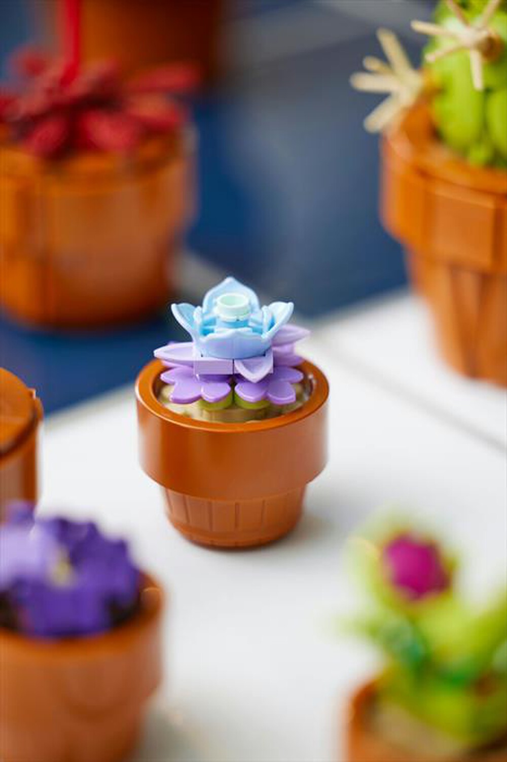 Immagine del prodotto LEGO - BOTANICALS Piantine 10329