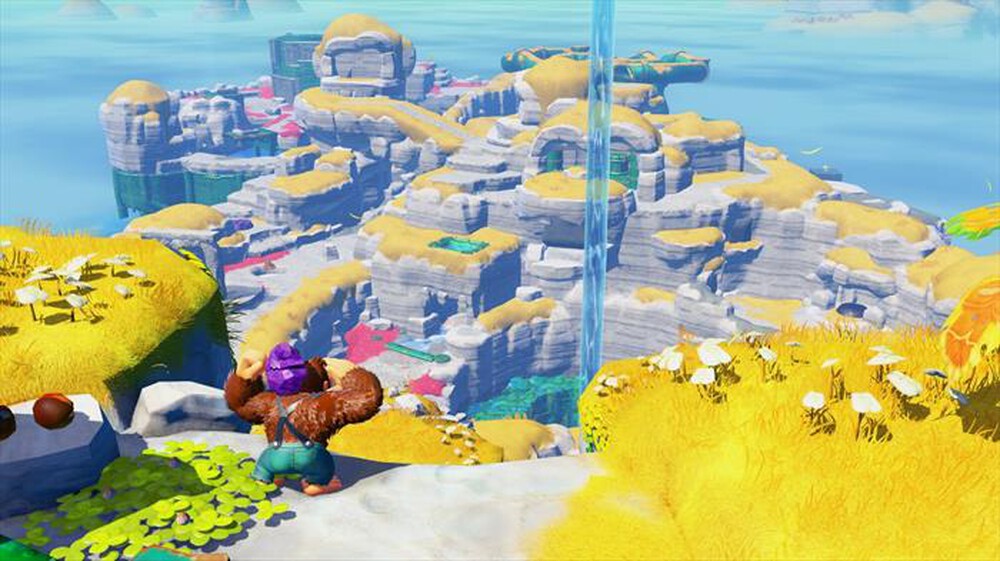 Immagine del prodotto NINTENDO - DONKEY KONG BANANZA - CODICE DOWNLOAD