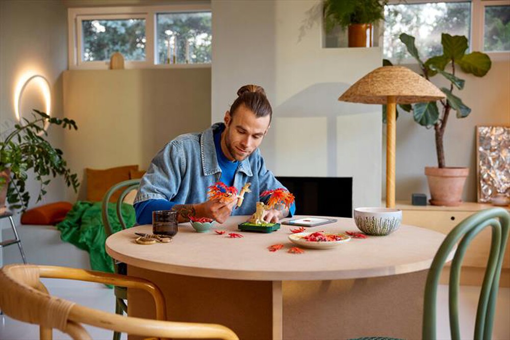 Immagine del prodotto LEGO - BOTANICALS Bonsai di acero rosso giapponese 10348