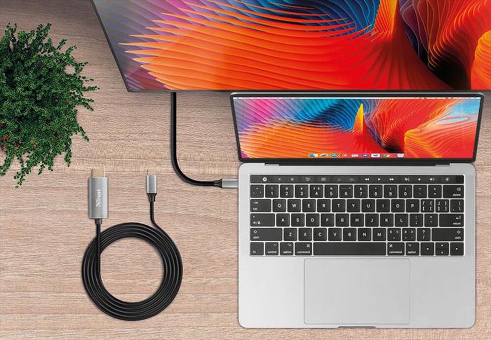 "TRUST - CALYX USB-C TO HDMI CABLE-Black/Grey"