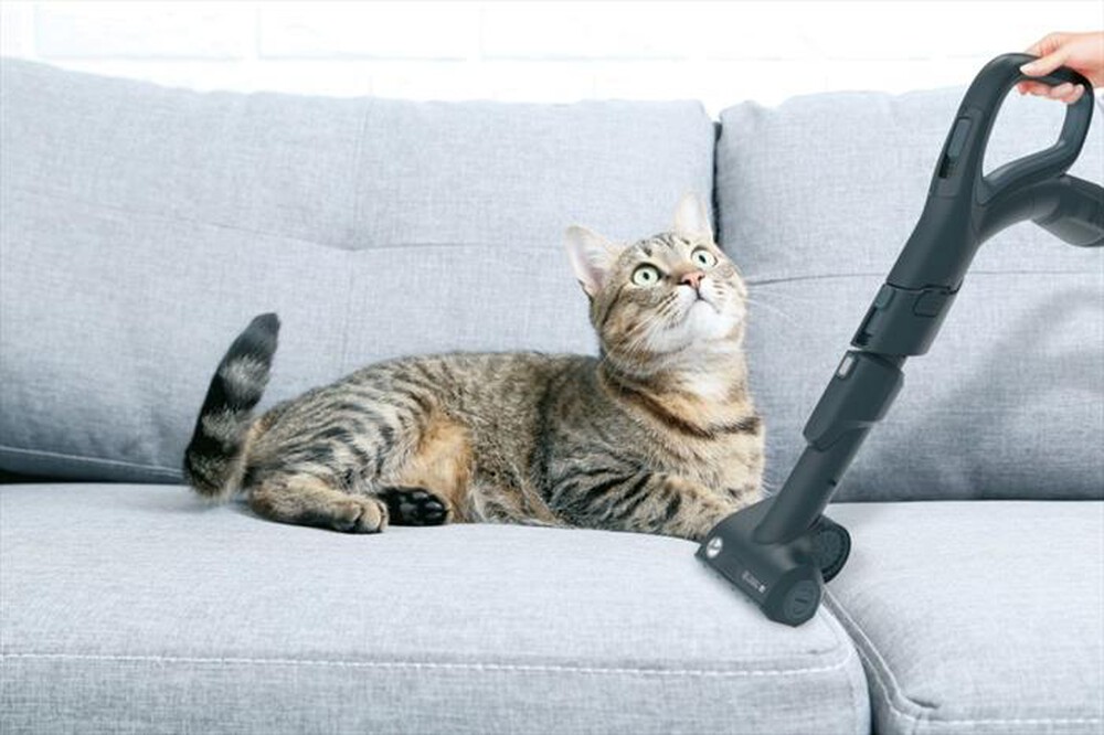 Immagine del prodotto HOOVER - Aspirapolvere a traino HP720PET 011-Nero