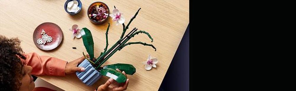 Immagine del prodotto LEGO - BOTANICALS Orchidea 10311