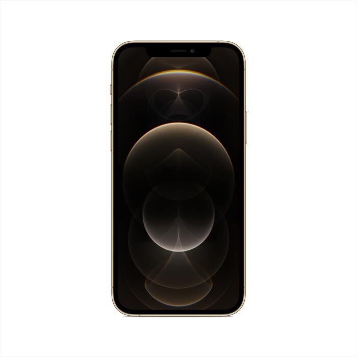 Apple iPhone 12 Pro 128GB 本体 Apple iPhone 12 Pro, 128GB, Argento - (Ricondizionato) : Amazon.it