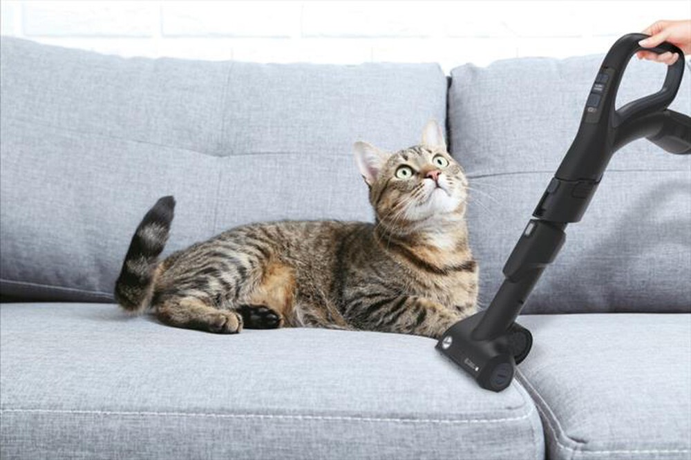 Immagine del prodotto HOOVER - Aspirapolvere a traino HP730ALG 011-Nero