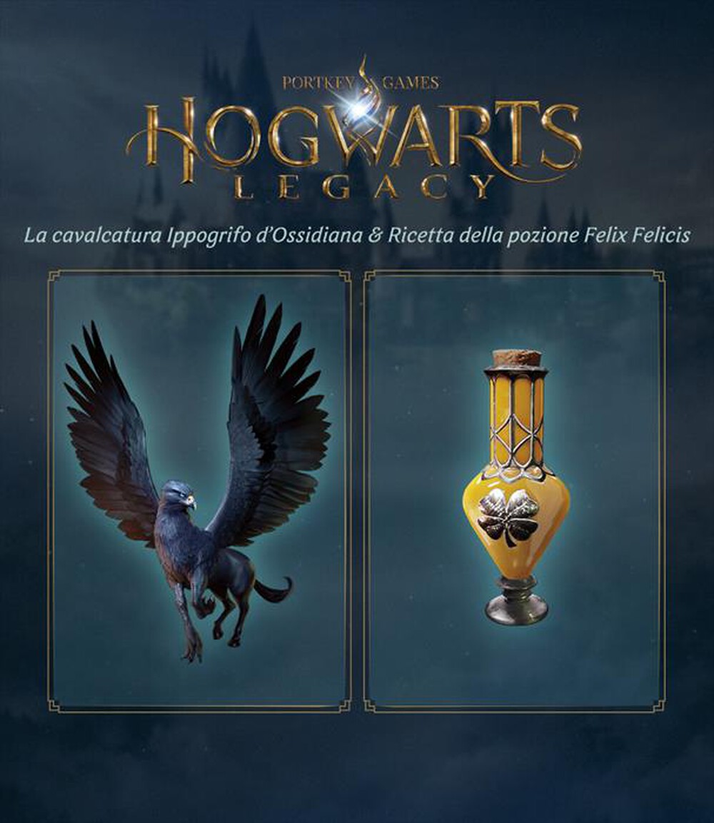 "WARNER GAMES - HOGWARTS LEGACY - PS4"