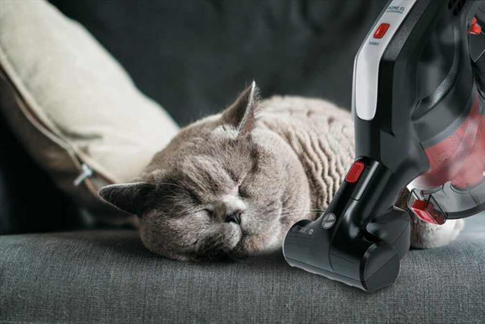 Immagine del prodotto HOOVER - HF222AXL-Nero