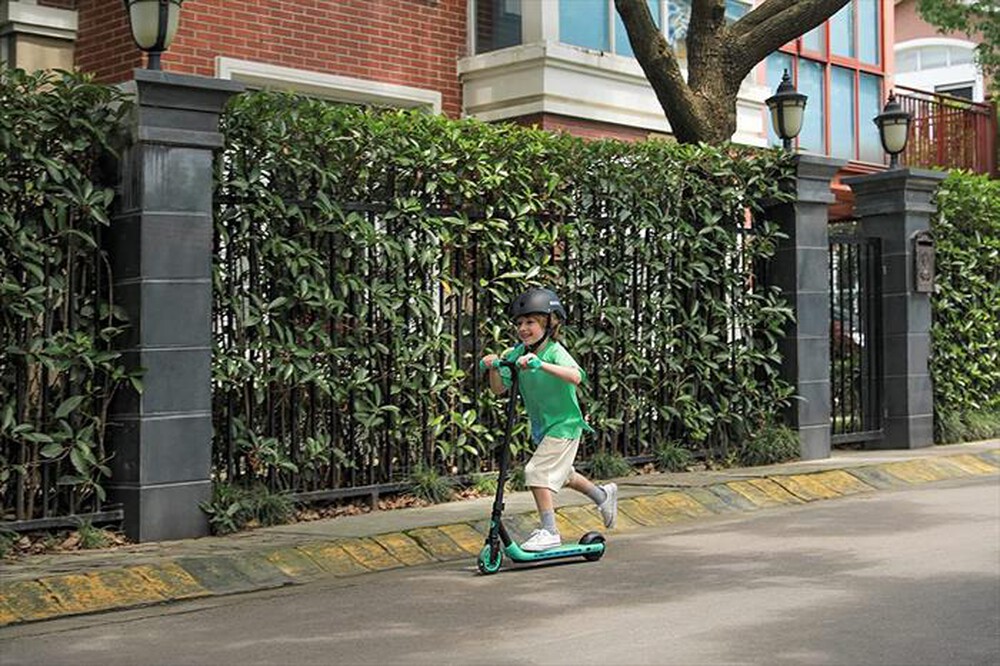 "SEGWAY - ZING A6-Mint/Black"