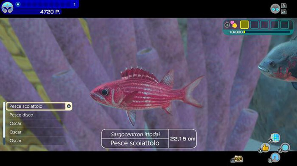 Immagine del prodotto NINTENDO - Endless ocean luminous