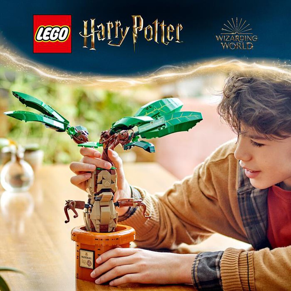 Immagine del prodotto LEGO - Harry Potter Calendario dell&rsquo;Avvento 2024 - 76438