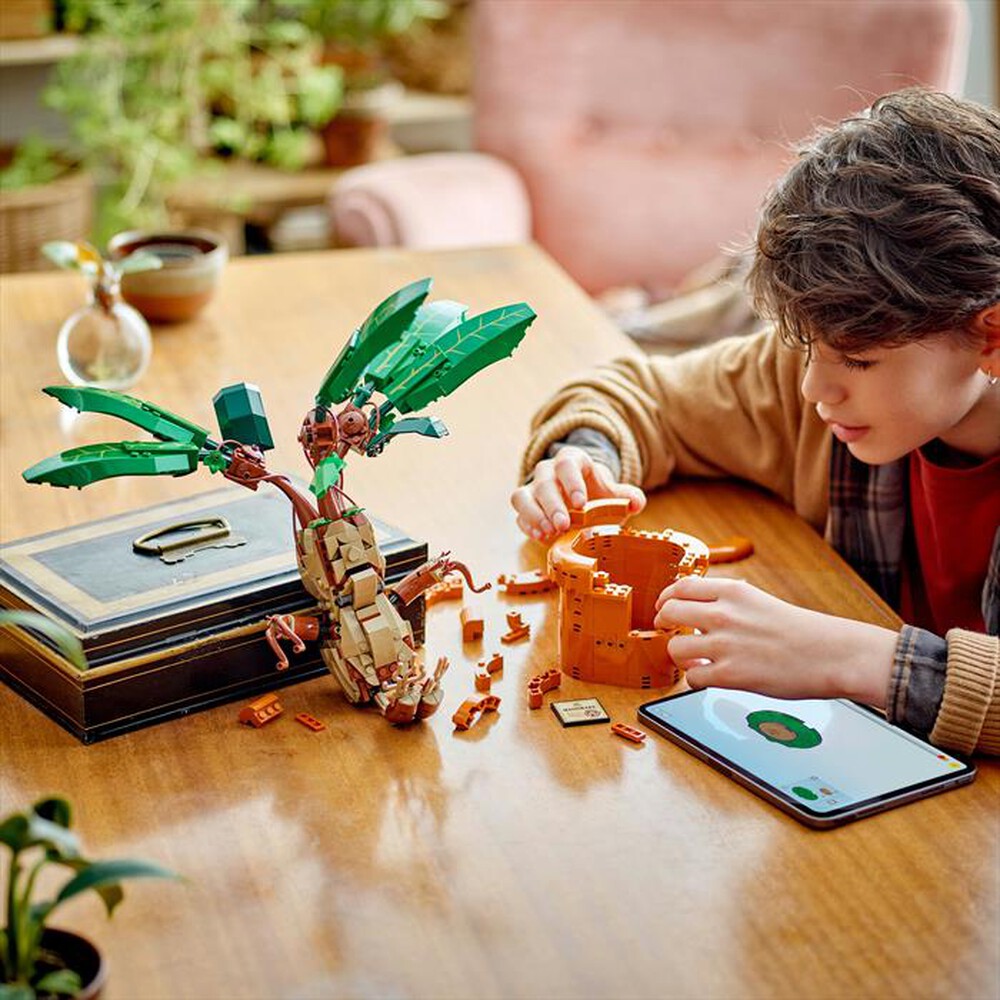 Immagine del prodotto LEGO - Harry Potter Calendario dell’Avvento 2024 - 76438