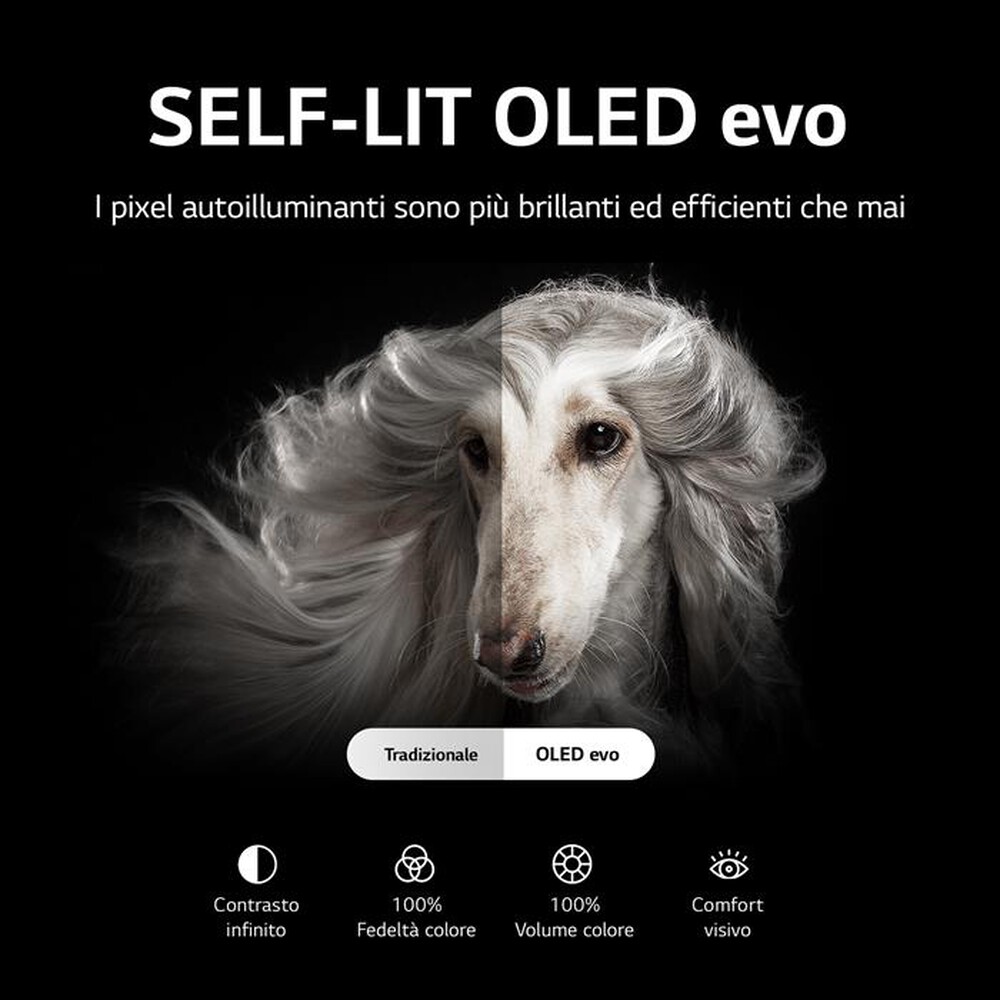 "LG - Smart TV OLED evo 4K 48\" OLED48C26LB-Argento"