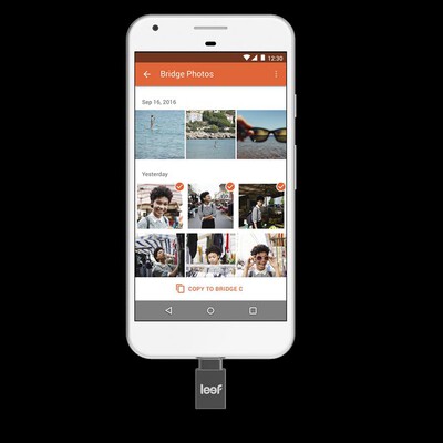 LEEF - BRIDGE TYPE C 32GB-Black