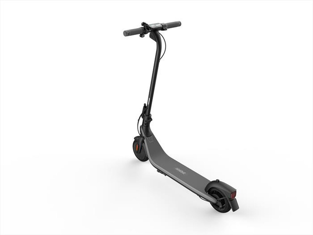 "SEGWAY - Monopattino elettrico NINEBOT E2 D-nero"