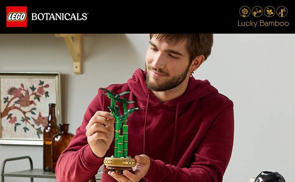 Immagine del prodotto LEGO - BOTANICALS Bambù del buon auspicio 10344
