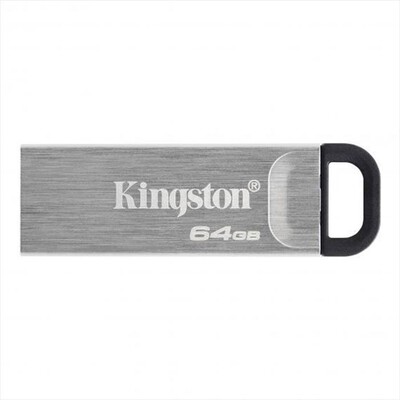 KINGSTON - Memoria 64 GB DTKN64GB-Argento