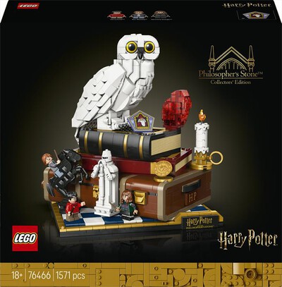 LEGO - HARRY POTTER Pietra filosofale - 76466-Multicolore