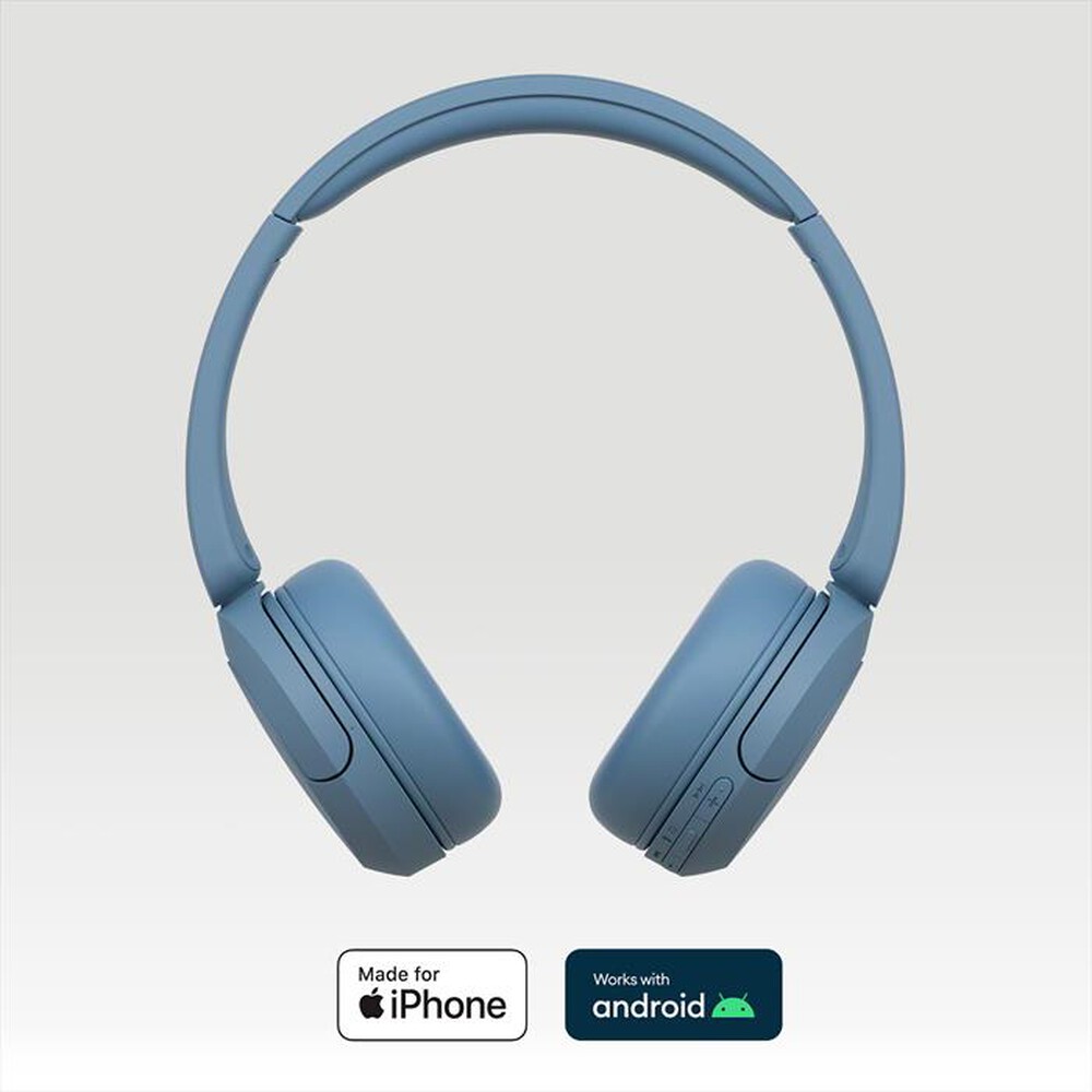 "SONY - Cuffie a padiglione chiuso WHCH520L.CE7-Blu"
