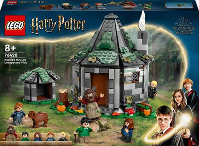 LEGO - HARRY POTTER Capanna Hagrid visita inattesa 76428