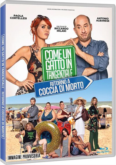Vision Distribution - Come Un Gatto In Tangenziale - Ritorno A Coccia