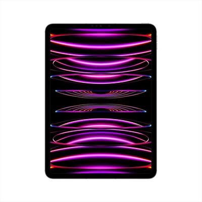 APPLE - iPad Pro 11" WI-FI + CELLULAR 256GB-Grigio Spaziale