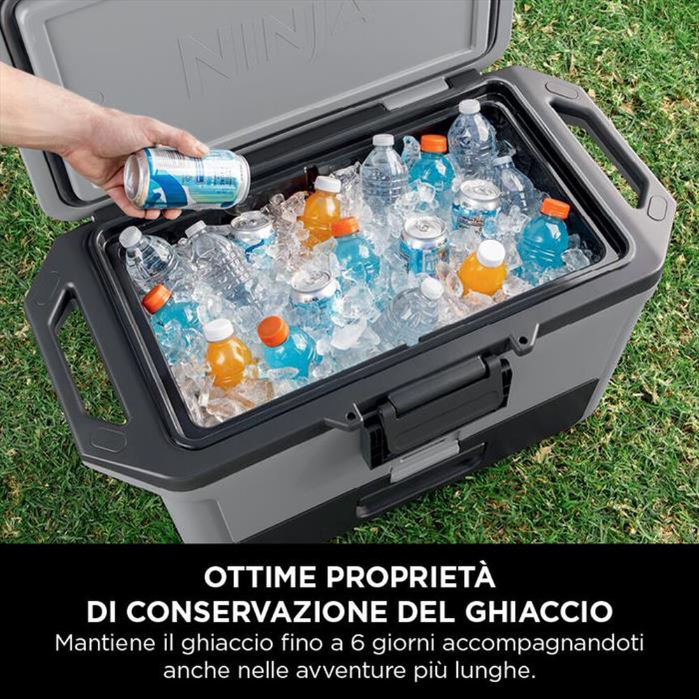 "NINJA - FRIGO PORTATILE FROSTVAULT 47LT-Grigio"