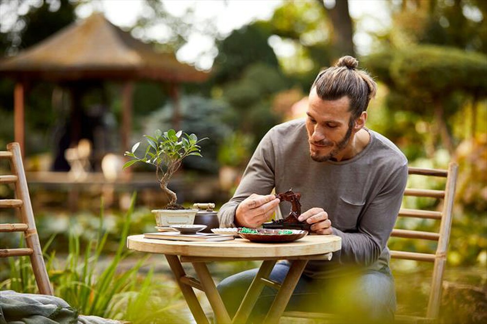 Immagine del prodotto LEGO - BOTANICALS Albero Bonsai 10281