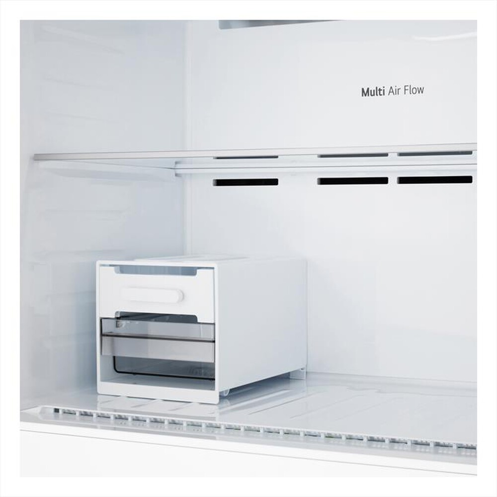 Immagine del prodotto LG - Frigorifero 2 porte GTFV61SEBQD Classe E 609lt-Argento