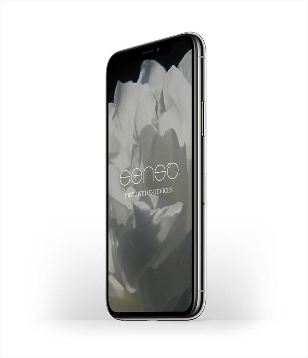 "SENSO - iPhone 11 Pro 256GB Ricondizionato Eccellente-Silver"