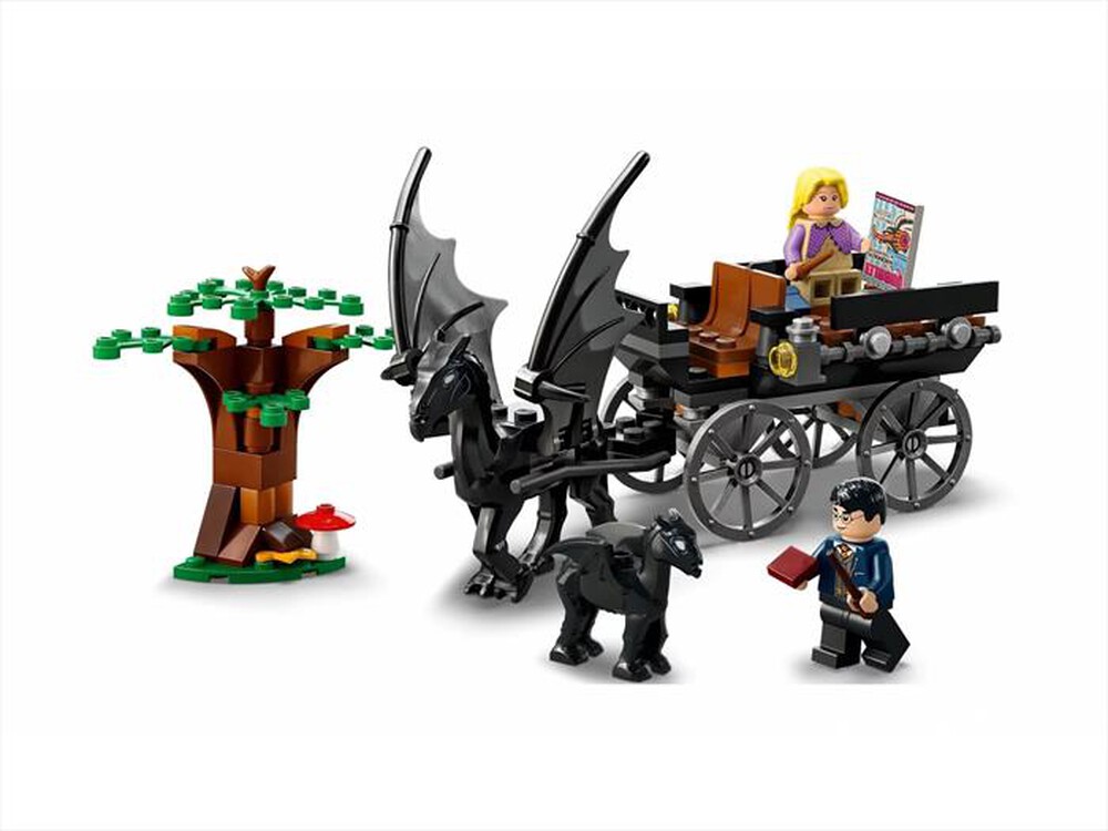 "LEGO - HARRY POTTER-76400-Multicolore"
