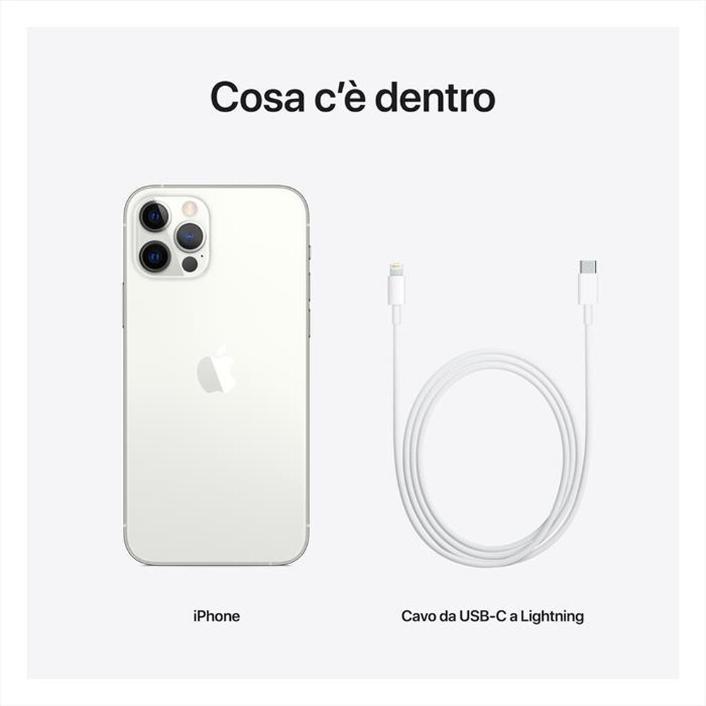 "APPLE - iPhone 12 Pro 256GB-Argento"
