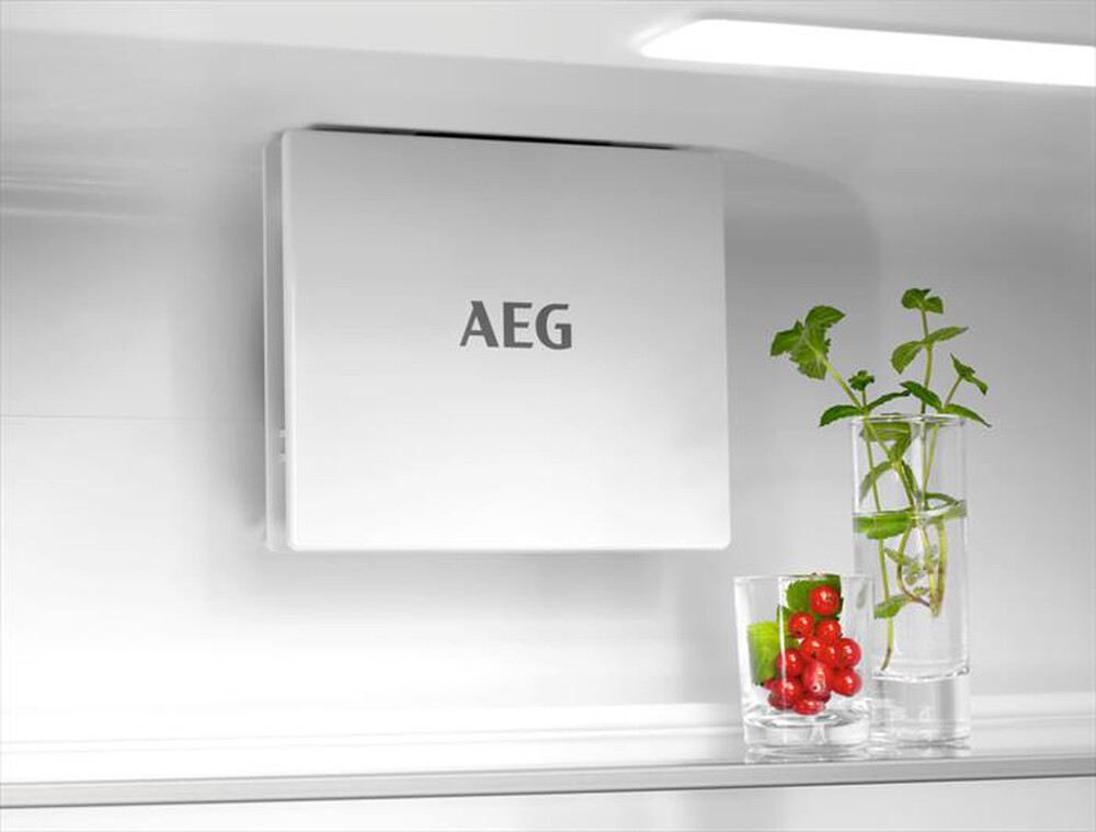 "AEG - Frigorifero combinato TSC7G181ES Classe E 256 lt"