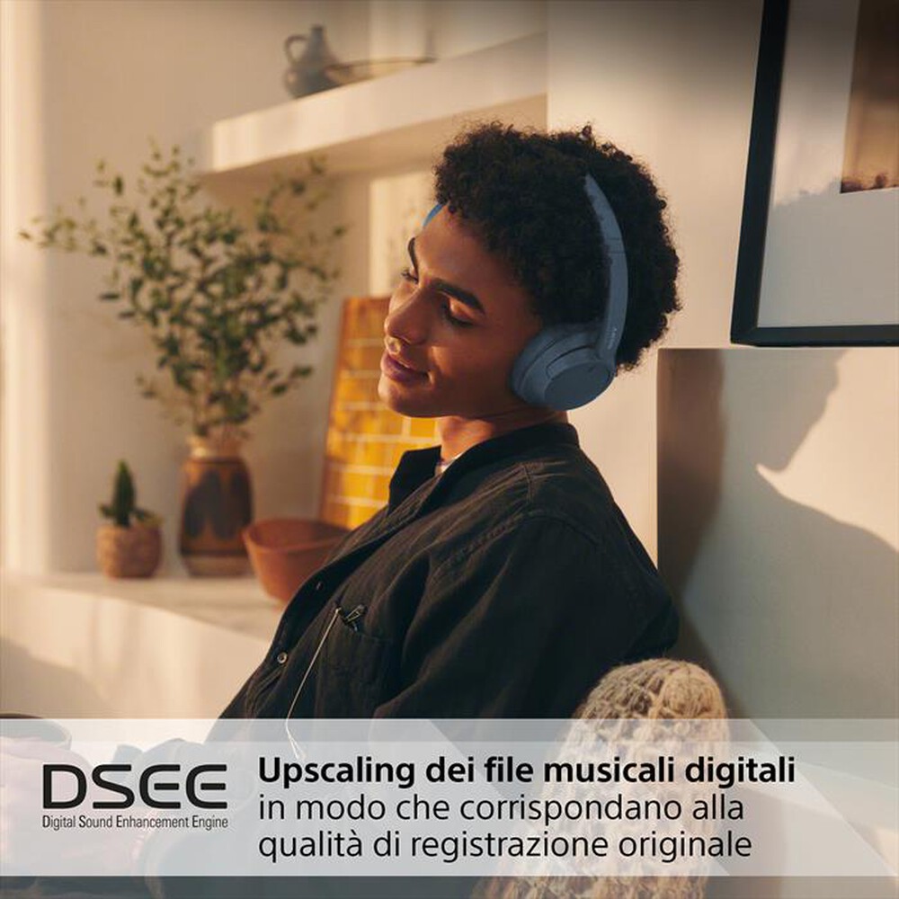 "SONY - Cuffie a padiglione chiuso WHCH720NL.CE7-Blu"