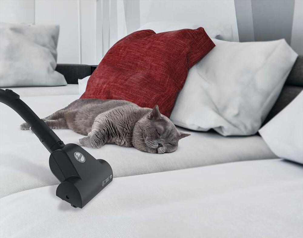 "HOOVER - Aspirapolvere a Traino BV60PET 011"