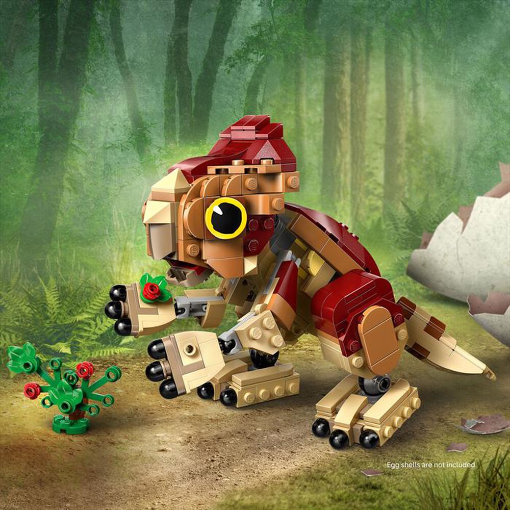 Immagine del prodotto LEGO - DINOSAURO CUCCIOLO DOLORES: AQUILOPS-,
