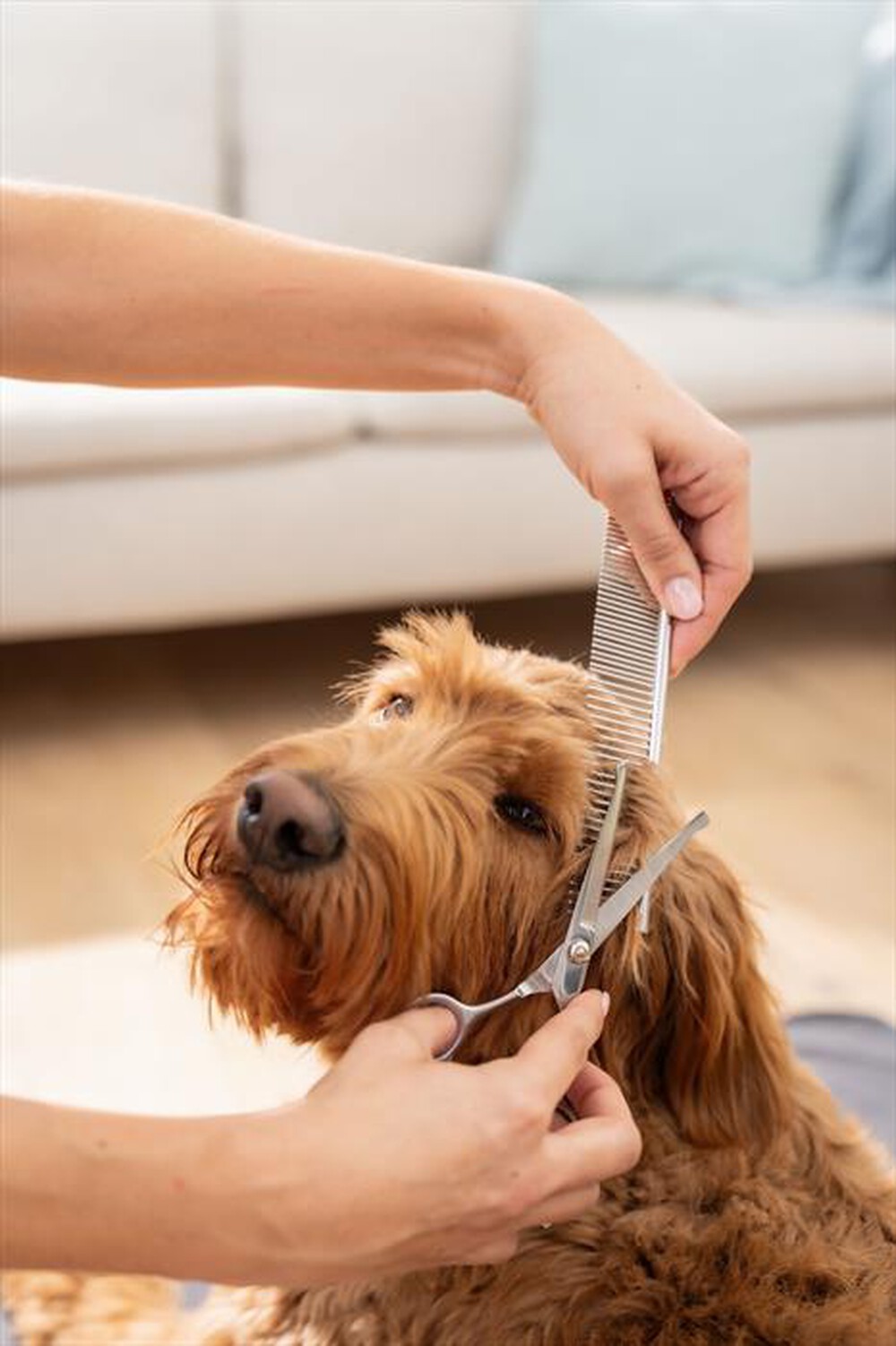 Immagine del prodotto BEURER - Tosatrice PP 110 FLUFFY-Bianco