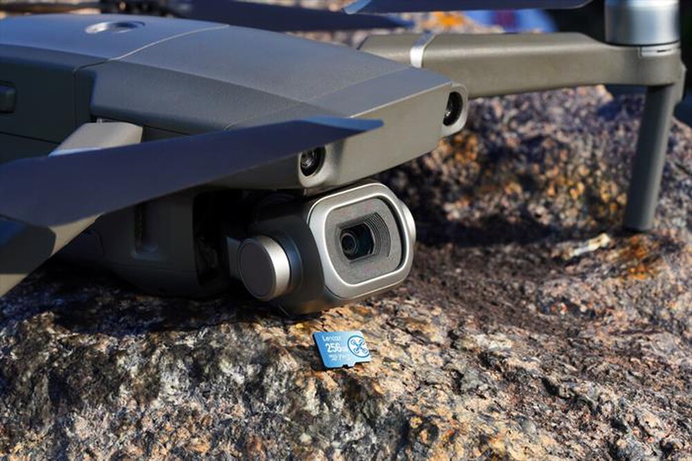 Immagine del prodotto LEXAR - 256GB FLY MICROSDXC-Blue