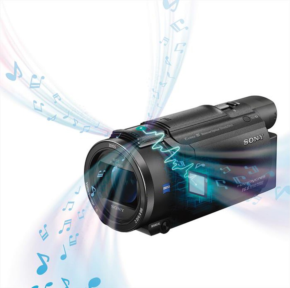 "SONY - FDR-AX53-Black"